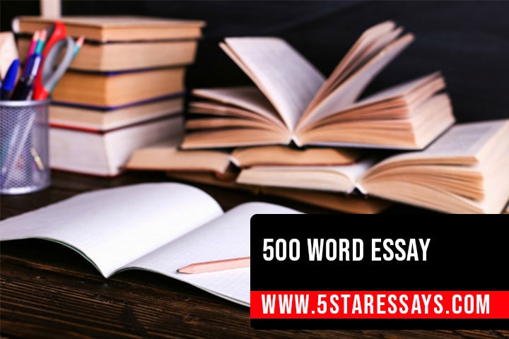 Beginners Guide to Writing a 500 Word Essay