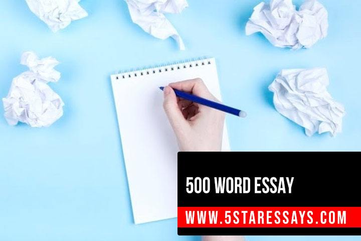 500 word essay