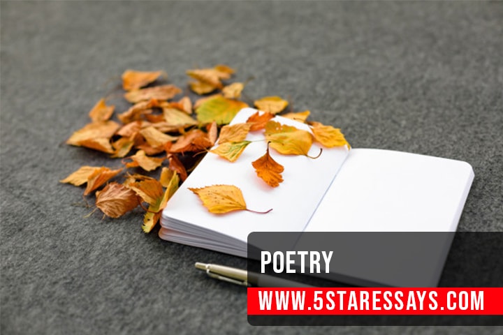 How To Write Poetry - 7 Fundamentals and Tips
