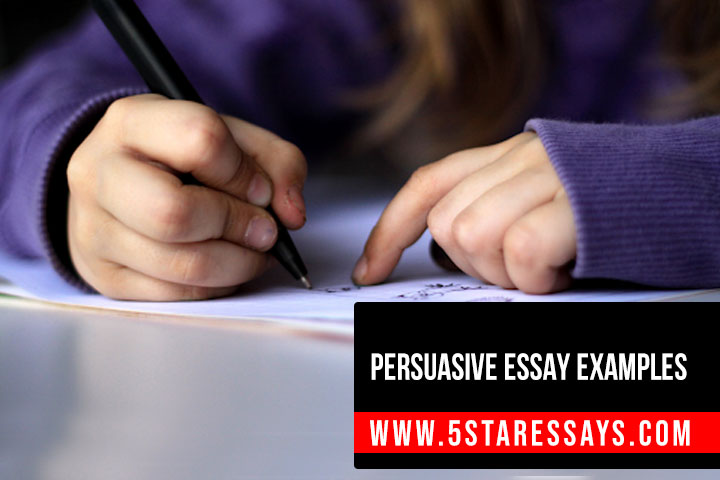 Free Persuasive Essay Examples to Help you Get Started